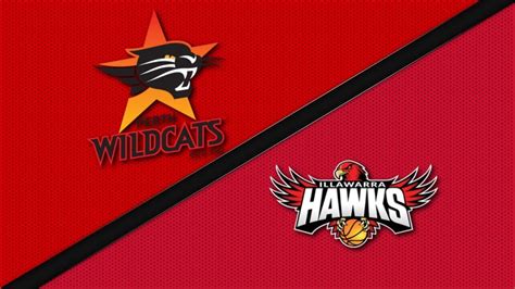 illawarra hawks vs perth wildcats